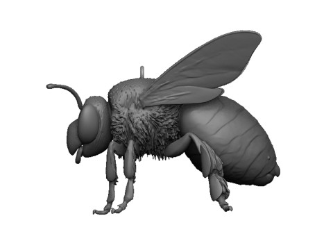 Bee pendant 3D Print Model
