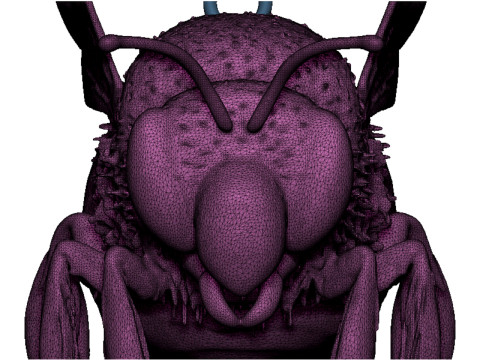 Bee pendant 3D Print Model