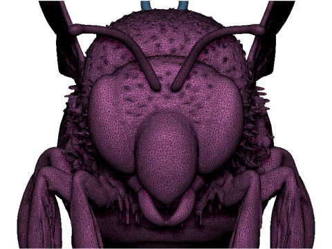Ciondolo ape Modello di stampa 3D