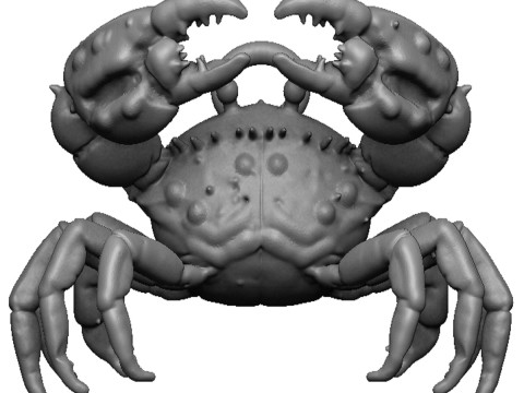 Crab pendant 3D 프린트 모델