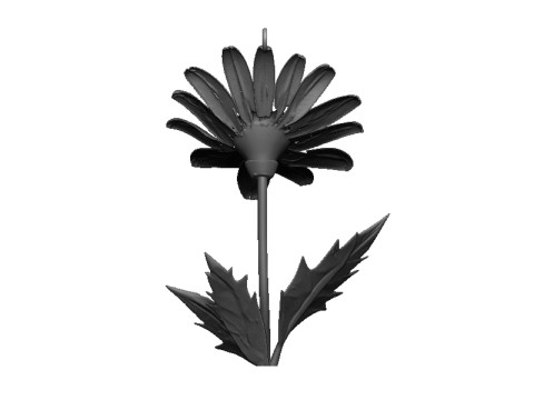 Daisy flower pendant 3D Druckmodell