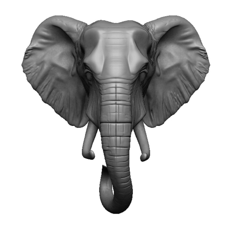 Elephant head 3D 打印模型 .c4d .max .obj .3ds .fbx .stl .blend 
