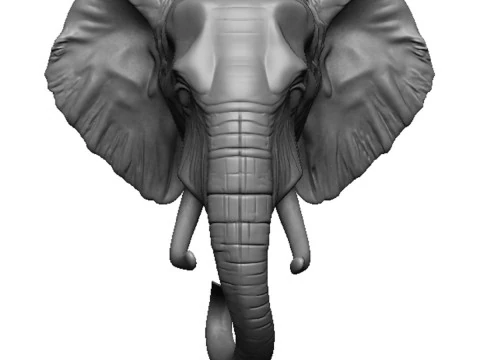 Cabe&ccedil;a de elefante Modelo de Impressão 3D