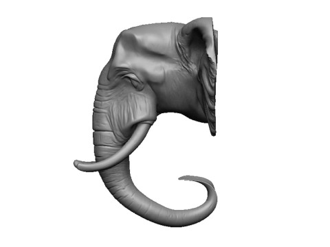 Elephant head 3D 打印模型