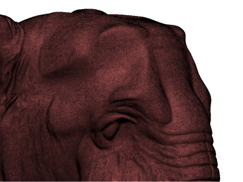 Elephant head 3D 打印模型