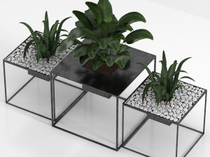 indoor plants 3D Model