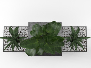 indoor plants 3D Model