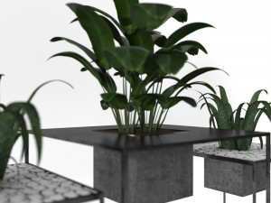 indoor plants 3D Model