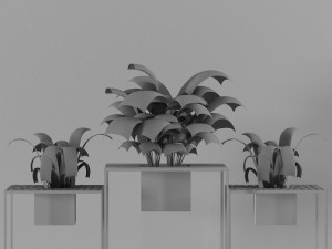 indoor plants 3D Model