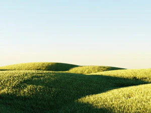 Realistic Nature 3D Model