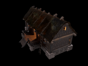 wiking house low poly 3D Model