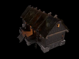 wiking house low poly 3D Model