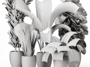 Indoor Plants Collection 2 3D Model