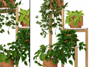 Indoor Plants Collection 2 3D Model