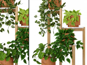 Indoor Plants Collection 2 3D Model