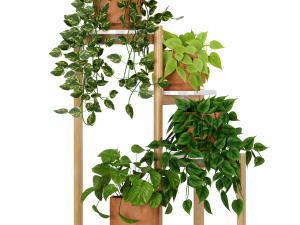 Indoor Plants Collection 2 3D Model