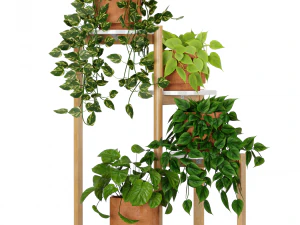 Indoor Plants Collection 2 3D Model