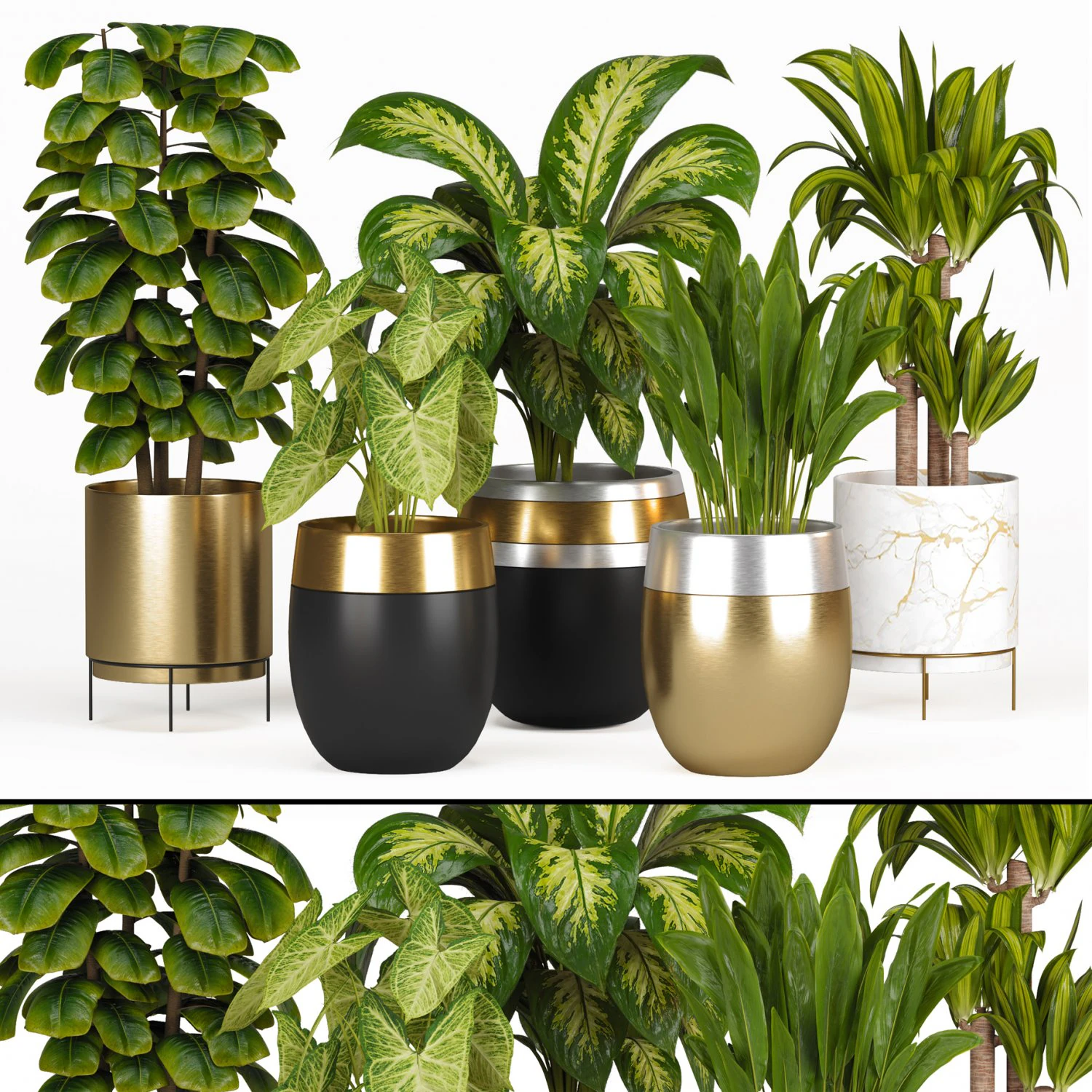 Indoor Plants Collection 3 3D Model .c4d .max .obj .3ds .fbx .stl .blend