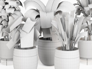 Indoor Plants Collection 3 3D-Modell