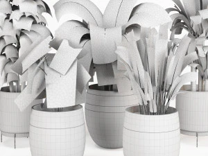 Indoor Plants Collection 3 3D Model