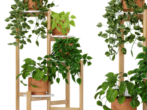 Indoor Plants Collection 5 3D Model