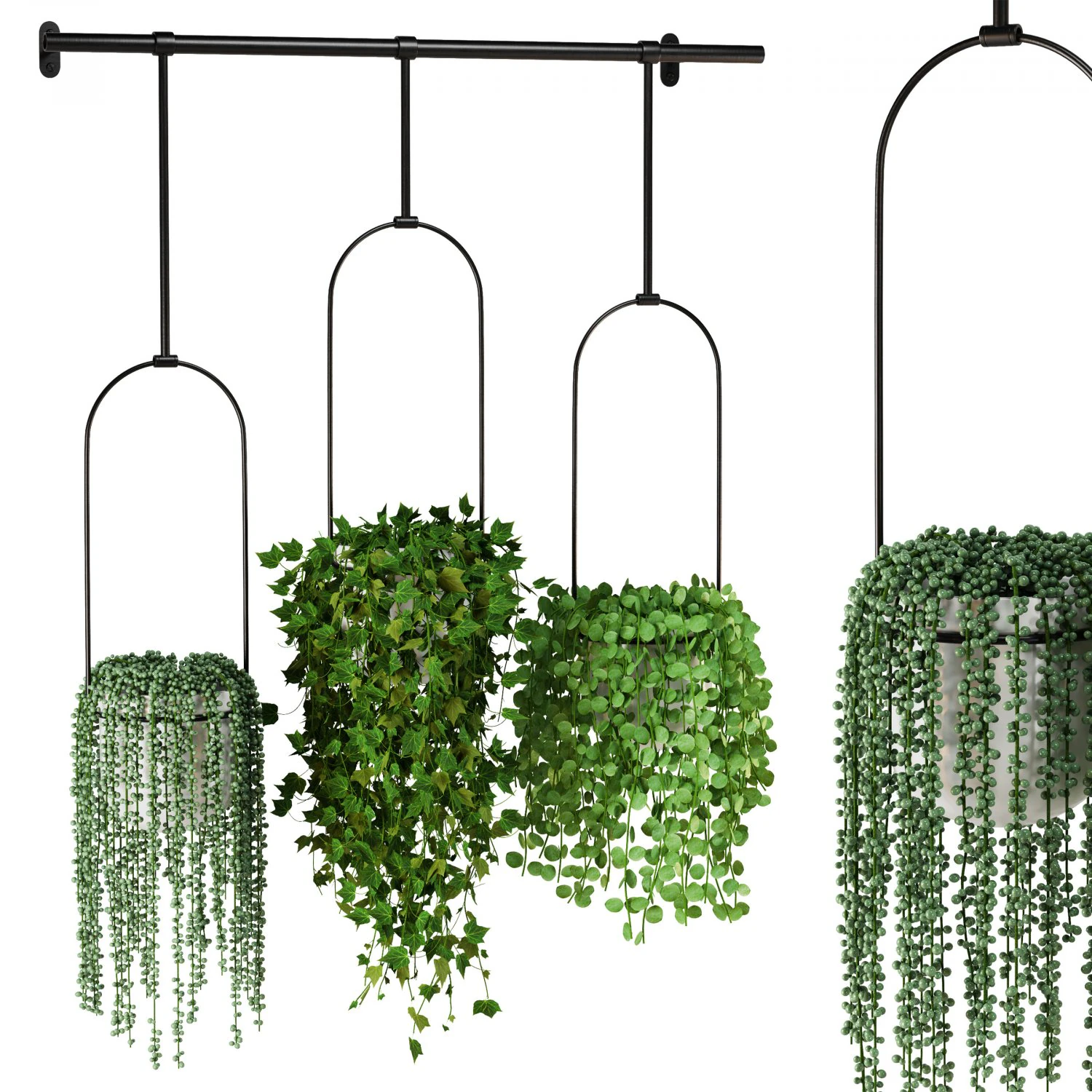Indoor Plants Collection 6 3D Model .c4d .max .obj .3ds .fbx .stl .blend 