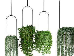 Colecci&oacute;n de plantas de interior 6 Modelo 3D