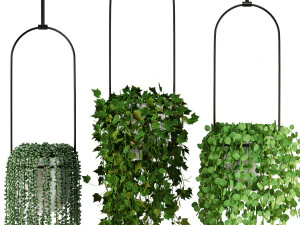 Indoor Plants Collection 6 3D Model