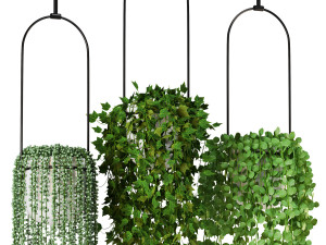 Indoor Plants Collection 6 3D-Modell