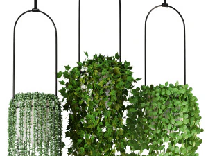 Indoor Plants Collection 6 3D Model