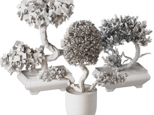 Bonsai Collection Model 3D