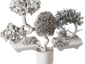 Bonsai Collection 3D Model