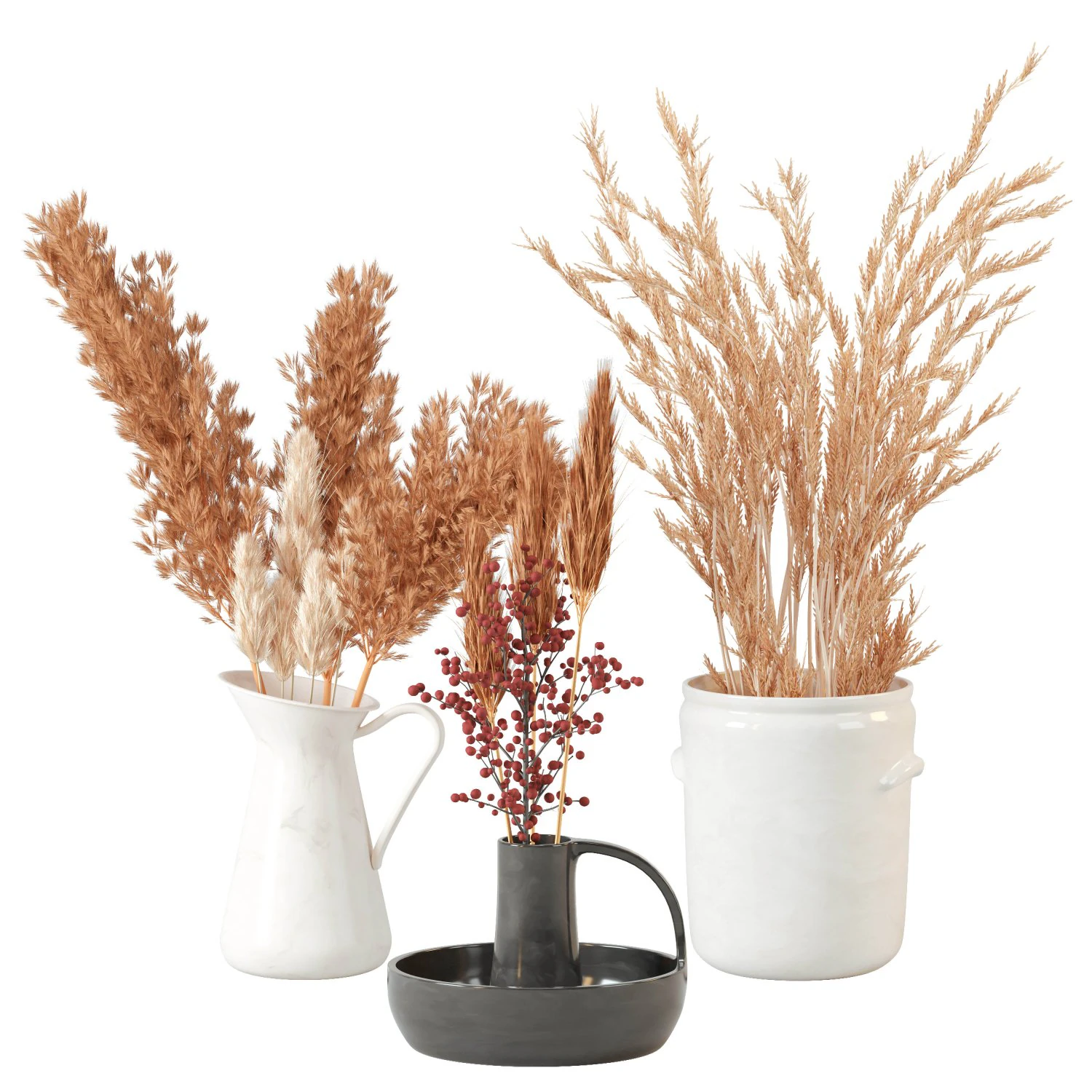 Pampas 3D Model .c4d .max .obj .3ds .fbx .stl .blend 