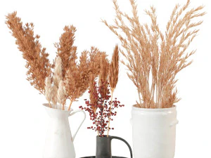 潘帕斯草原 3D 模型