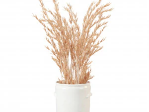 Pampas 3D Model