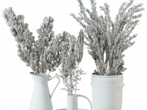 Pampas 3D Model