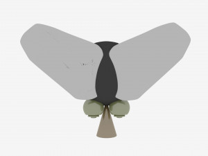 crazy fly 3Dモデル