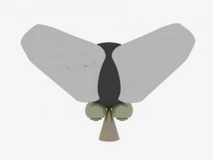 crazy fly 3D Model