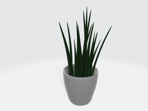 small plant Modelo 3D