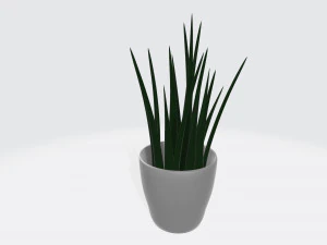 kleine Pflanze 3D Modell