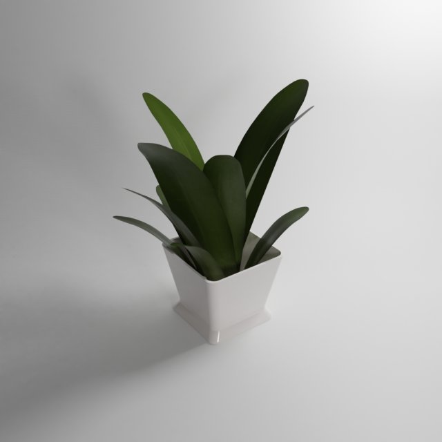 small plant 3D Model .c4d .max .obj .3ds .fbx .stl .blend 