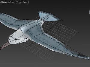 seagull 3D Model