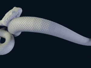 snake doorhandle for cnc 3dprint 3D Print Model