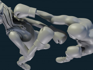 3d print boxing 3D Принт Модель
