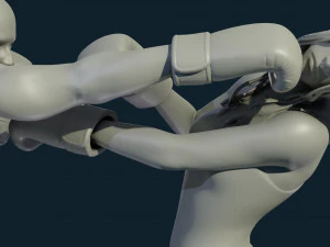 3d print boxing 3D Print Model