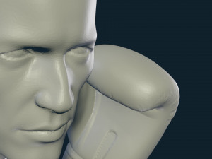 3d print boxing 3D Принт Модель