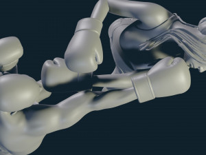 3d print boxing 3D Принт Модель