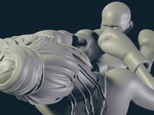 3d print boxing 3D Принт Модель