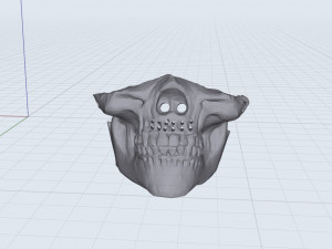 3d mask skull 3Dモデル