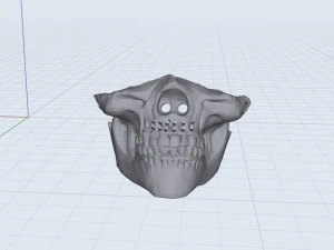 3D-masker schedel 3D Model